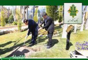 کاشت نهال توسط مدیرعامل بانک کشاورزی به مناسبت روز درختکاری و هفته منابع طبیعی