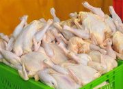 افزایش مصرف سرانه مرغ در کشور
