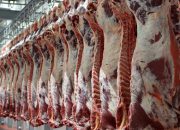 گرانی گوشت در بازار قابل قبول نیست