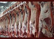 برزیل از روسیه گوشت وارد می‌کند