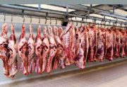 تولید گوشت قرمز به ۹۰۰ هزارتن می‌رسد