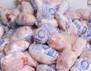 تولید ماهانه ۲۰۰ تا ۲۱۰ هزارتن مرغ در کشور