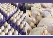 صادرات مرغ و تخم‌مرغ به کویت آزاد شد‌ + سند