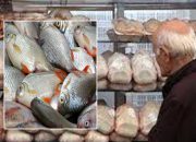 مرغ ارزان شد/‌ قیمت هر کیلو ماهی سالمون نروژ ۱۷۵ هزار تومان