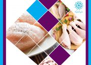 واردات گوشت مرغ در سال رونق تولید چه مفهومی دارد؟