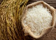 لغو ممنوعیت واردات فصلی برنج + سند