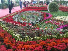 گزارش تصویری هفدهمین نمایشگاه بین‌المللی گل و گیاه، تجهیزات پارکی و صنایع وابسته