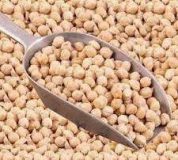تولید ۱.۸ درصد نخود جهان در ایران