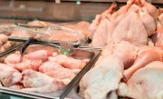 اقدامات بی‌ثمر برای کاهش قیمت مرغ