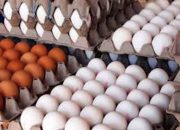افزایش ۲۰ هزار تومانی قیمت تخم‌مرغ