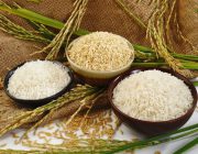 قیمت برنج ایرانی در مهر امسال کاهش و برنج خارجی افزایش یافت