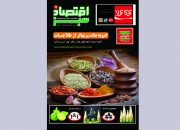 «اقتصاد سبز» خرداد با رنگ و بوی ادویه و نمایشگاه «ایفا» منتشر شد