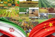 تجارت ایران و چین در بخش کشاورزی افزایش می‌یابد