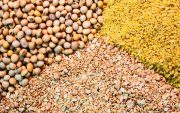 افزایش قیمت خوراک دام در بازارهای جهانی