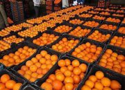 ذخیره‌سازی ۷۰۰۰ تن پرتقال و سیب شب عید استان تهران